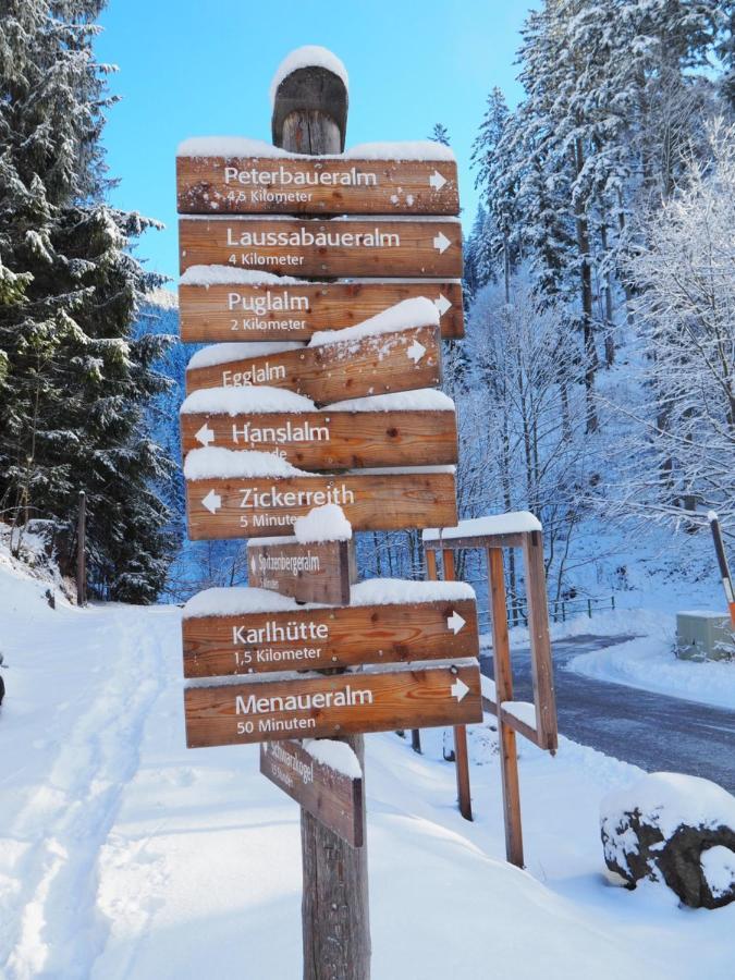 Zickerreith Almhutte Pansiyon Rosenau am Hengstpass Dış mekan fotoğraf