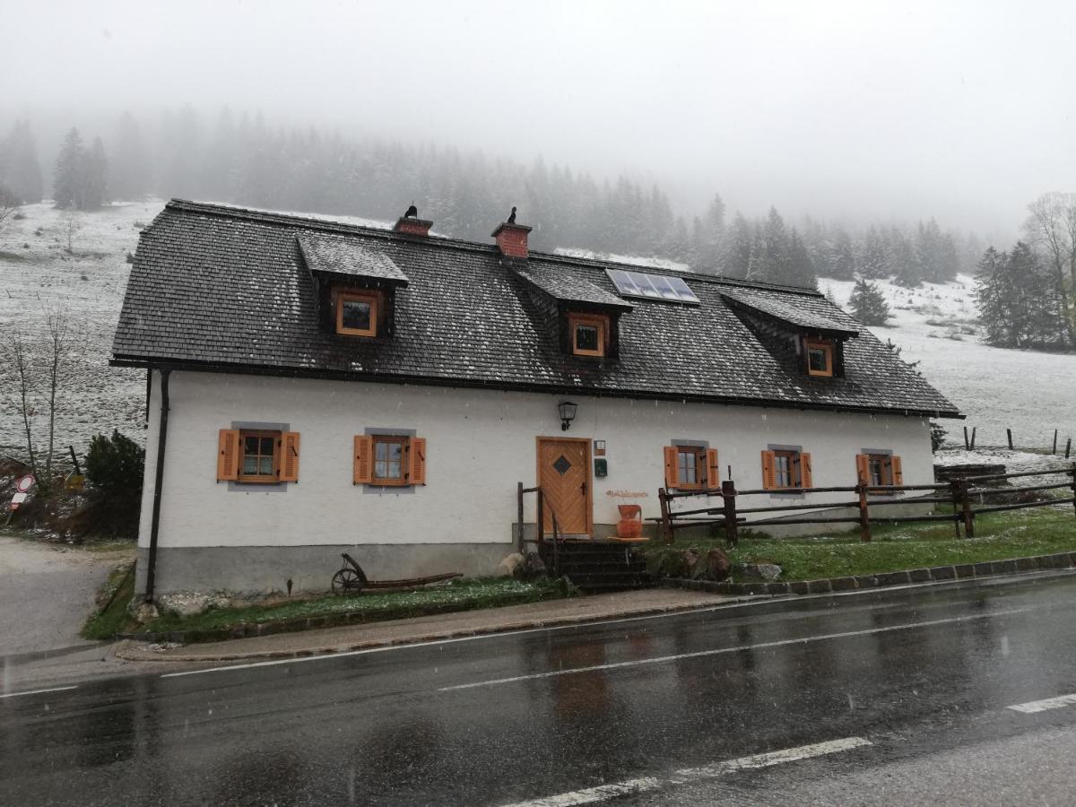 Zickerreith Almhutte Pansiyon Rosenau am Hengstpass Dış mekan fotoğraf