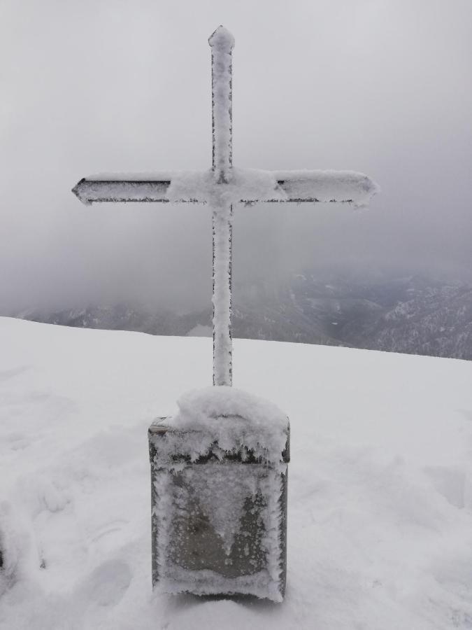 Zickerreith Almhutte Pansiyon Rosenau am Hengstpass Dış mekan fotoğraf