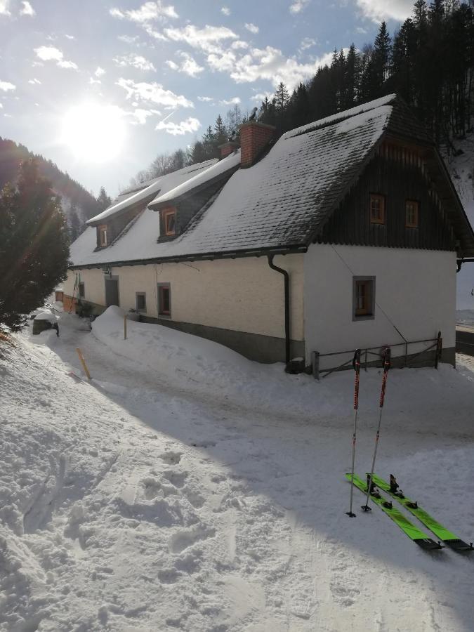 Zickerreith Almhutte Pansiyon Rosenau am Hengstpass Dış mekan fotoğraf